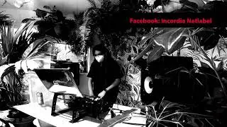 Bobcut + VJ Jan - Noise Dub & DeepBass