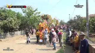 DAGANG PINDANG | SINGA BARONG |LIVE TANJUNGTIGA 2020