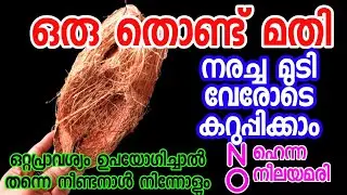 നരയുൾപ്പടെ മുടിയുടെ എല്ലാ പ്രശ്ശനങ്ങൾക്കും ഒറ്റയടിക്ക് പരിഹരിയ്ക്കാനൊരു Hair pack| Natural hair dye