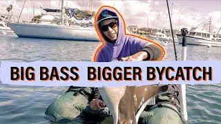 Quarantine Fishing Special: Float Tubing Newport Harbor