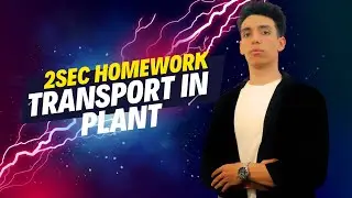 Homework 2sec transport in plant
