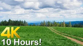 Puffy clouds above relaxing meadow for 10 hours! (NO MUSIC) Melting Vibe
