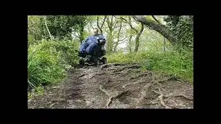 FourX DL in Woodland