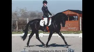 ARKANN - Amateur 3 Imposé B #4