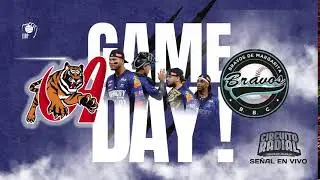 Tigres de Aragua Vs Bravos de Margarita
