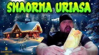 SHAORMA URIASA MIXT C&A AM REUSIT ?-MUKBANG