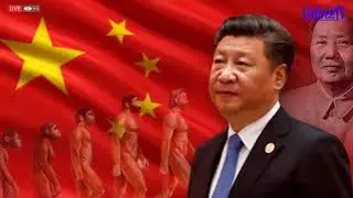 Triều đại t&ocirc; l&acirc;m kh&aacute;c g&igrave; tập cận b&igrave;nh.