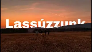 Manz&aacute;rd - Lass&uacute;zzunk