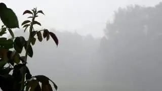 Intensiver Sturzregen mit heftigen Windb&ouml;e