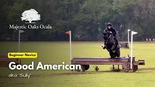 Good American (Beginner Novice | 2025 February Schooling Show at Majestic Oaks)