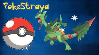 Road to Regionals?! Mega Sceptile Deck!