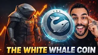 Эта монета, сэкономленная в одиночку, &mdash; это весело и подходит для сезона мемов. Безумие!