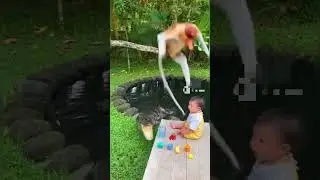 Monkey Leaps to Save Baby from Eagle Attack 🦅🐒