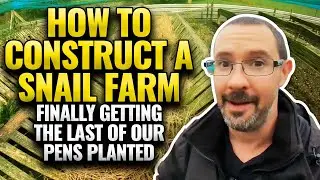 Building a Snail Farm: Completing Our Escargot Pens Construction 🐌🔨
