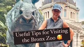 Useful Tips for Visiting the Bronx Zoo
