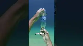 Why can't you hold your breath when surfacing?