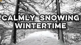 Calmly Snowing Wintertime | Relaxing Chillout Music to Escape City Noise & Embrace Nature's Love  ❄️