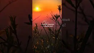 рассвет на Бештау #atmosfera #mountains #nature #природныепейзажи #рассветныегоризонты #shorts