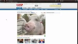 Download videos using Linux and Firefox