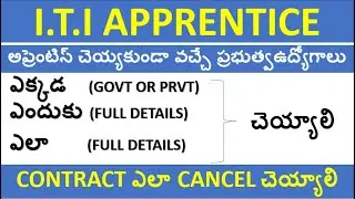 apprentice full details in telugu || what is the apprentice || మీకోసమే ఈ స్పెషల్ వీడియో ||apprentice