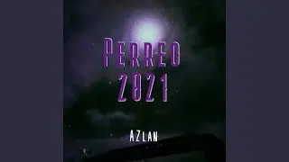 Perreo 2021