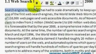 The Mini Toolbar
