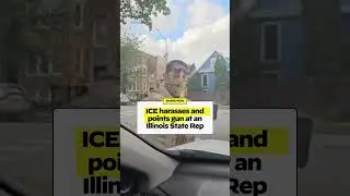 Кандидат в Конгресс и представитель штата Иллинойс Хоан Хюинь был окружен агентами ICE.