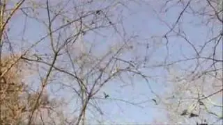 Waterfowler TV: Episode 808 Dunn Messin' Around