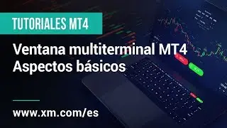 XM.COM - Tutoriales MT4 - Ventana multiterminal MT4 - Aspectos básicos
