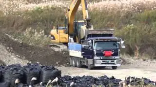 ＊デコトラ＊　神田(KODA)建材　歌姫 倖田來未の実家のダンプ  パノラマ風景