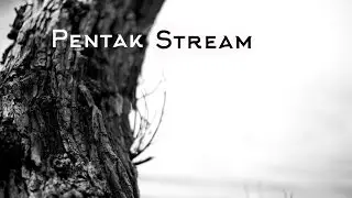 Pentak Stream [7 мар 2016] часть 2