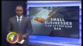 TVJ News: Small Businesses Fear Styrofoam Ban - November 13 2019