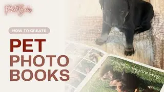 Master The Art Of Making A Pet Photo Book
