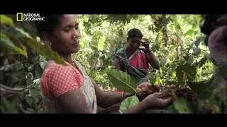 Araku Coffee Promo