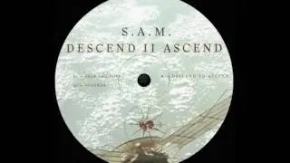 S.A.M. - Fear And Hope