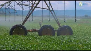 Five key investment opportunities in Rwanda&rsquo;s agriculture sector, worth $785 million. #handinhand