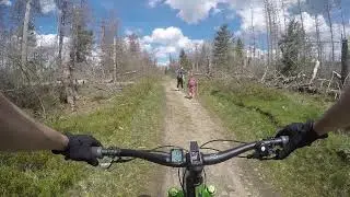 MTB Harz! Kaiserweg , Ecker Talsperre , Trail.