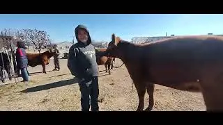 Cattleman's Congress 2026 Episode 11