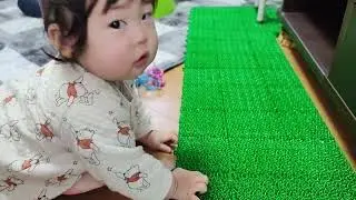2026/01/16入ったらダメな場所がわかるかな