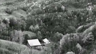 Tim Barnwell