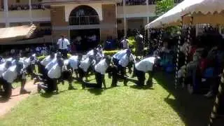 St Mary's Yala rugby team   the hacker