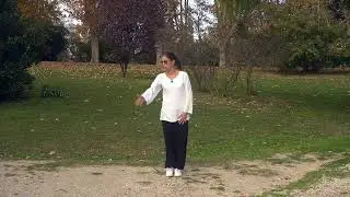 Tai Chi Basic Stepping Out