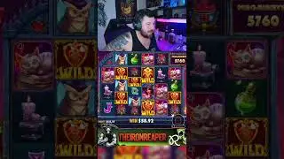 Wild exploded&hellip; multiplier went bonkers!  #slots #btc #ltc #crypto #gambling #maxwin #rainbet #profit