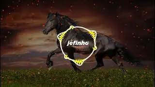 David Guetta & OneRepublic - I Don't Wanna Wait - Versão Forrozinho - Dj Jefinho