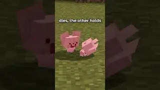 :(