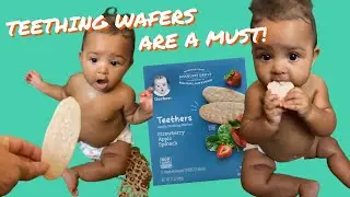 Teething wafers are a must!