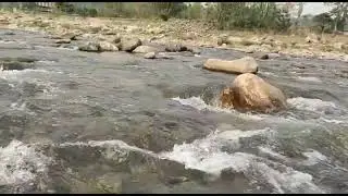 Dudhia River and Forest