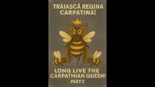 IERNARE IN ROMANIA CARPATINĂ PE 10 RAME - How Carpathian Bees Survive Winter on Just 10 Frames - P2