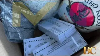 Женщина утверждает, что коробка с доставкой Amazon была набита сотнями пустых бюллетеней