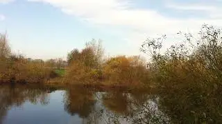 My first otter on the  river Ouse 